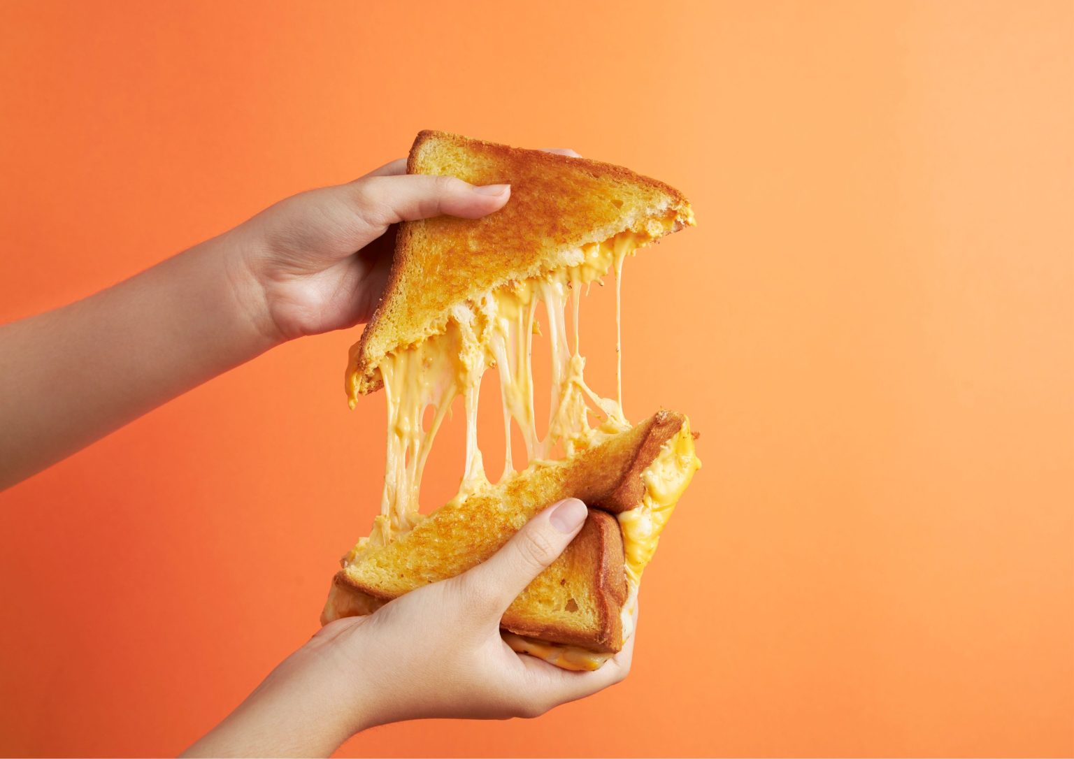 ¿Sabías que el 27 de marzo es el Día Mundial del Queso?