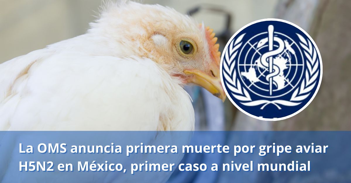 La OMS anuncia primera muerte por gripe aviar H5N2 en México