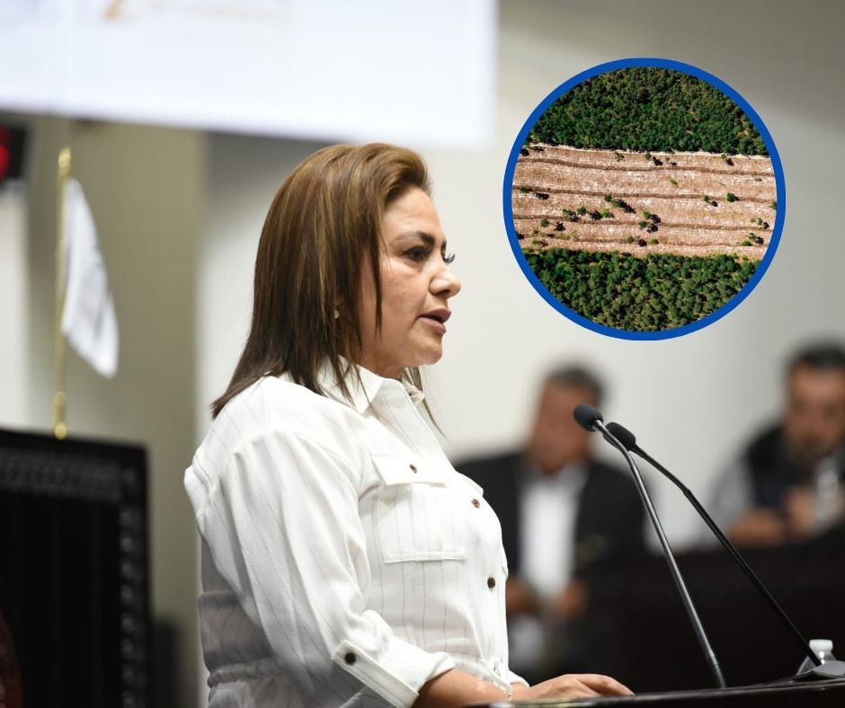 Semarnath lanza proyecto de reforestación en Hidalgo