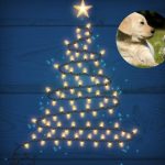 ¿Tienes mascotas? Conoce estos árboles de Navidad Pet Friendly