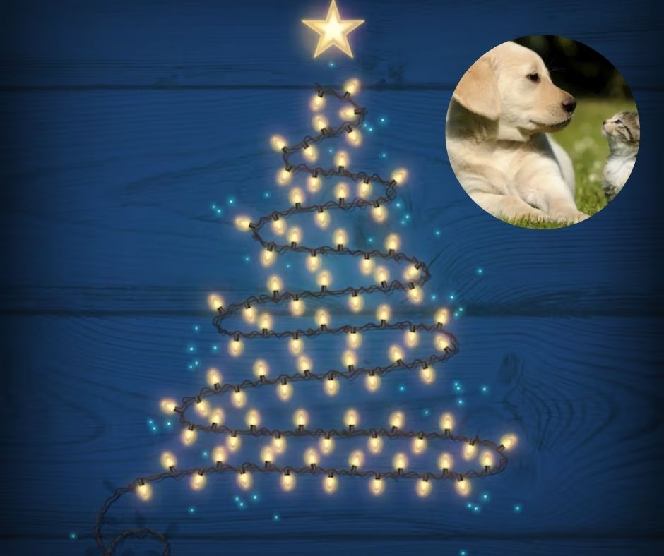 ¿Tienes mascotas? Conoce estos árboles de Navidad Pet Friendly