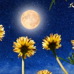 luna de las flores 2025