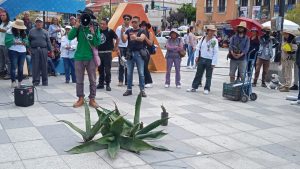 Tlachiqueros se oponen a megaproyectos solares en Hidalgo; denuncian ecocidio