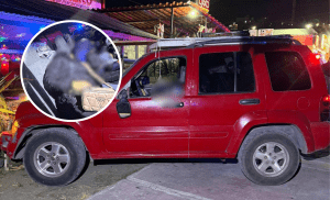 Tula de Allende: dos personas sin vida tras ataque armado