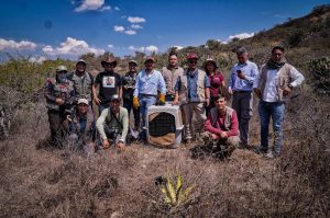 16 animales regresan a su hábitat en la Barranca de Metztitlán