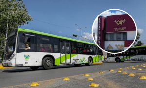 Tuzobús llegaría a Mineral de la Reforma; checa a dónde