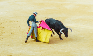 Congreso de Hidalgo acelera decisión sobre corridas de toros