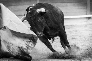 Feria Toro suspende corrida prevista para mayo en Pachuca
