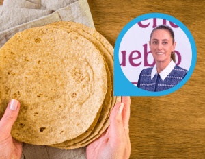 No hay motivo para subir la tortilla: Sheinbaum