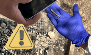 Descartan presunta fosa clandestina en Actopan; hallazgo era un hueso de ave