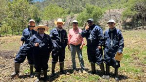 Activan vigilancia en Actopan ante reporte de posible gusano barrenador en ganado